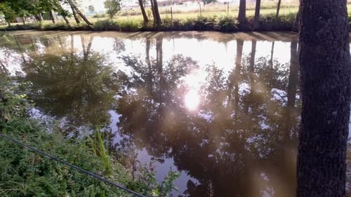 Ein ruhiger, entspannender See an einem sonnigen Tag mit der perfekten Reflexion darauf. Nach links und rechts schwenken
c