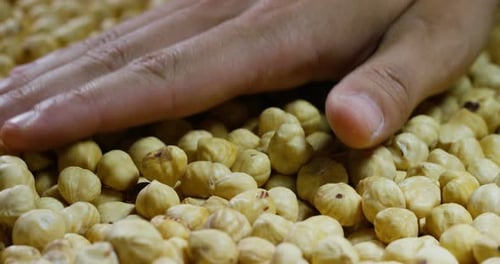 Close-up of a man touching peeled light yellow hazelnuts. Concept: salted, nuts, seeds, tasty, hea