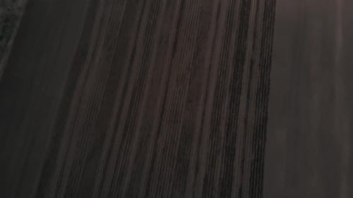 Blue tractor working on the field in Odessa in Ukraine during planting sunflower