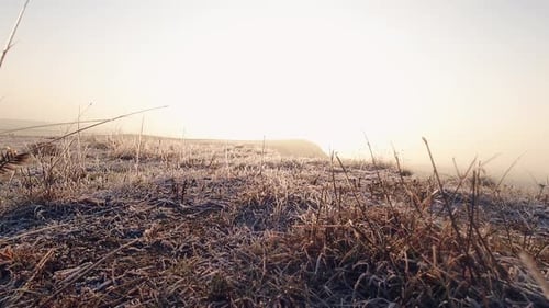 Ground Warms Up On Sunrise After Freezing Night (Zoom Out)