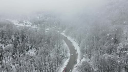 Snowy Forest Road