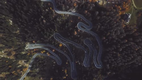 Serpentine Of Paved Road In The Forest Of An Alpine Pass In Switzerland