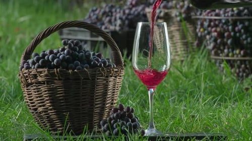 Red wine. Pouring dessert wine into wineglass. Wine tasting culture