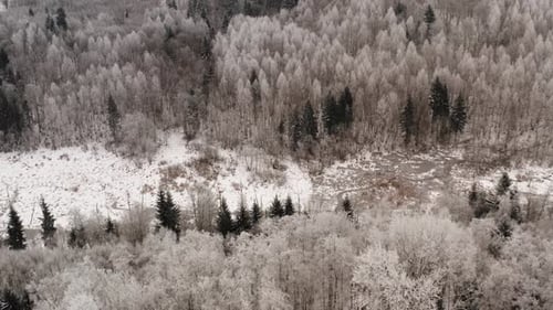 Aerial drone view over a frozen forest in countryside. Small valley with frozen creek water and snow