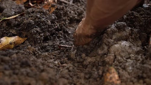 Hands Digging Soil For Planting - Close Up