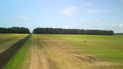 Runde Heuballen auf der grünen Wiese