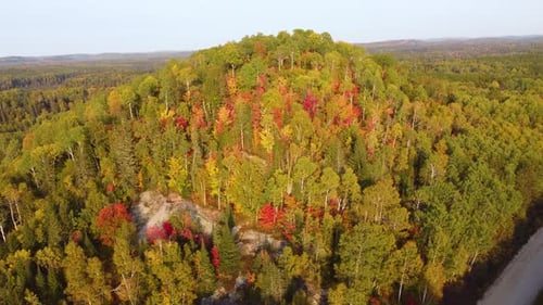 Aerial View Of Mountain Forest With Trees In Autumn Colors.