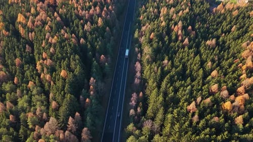 Top down drone capture of a colorful autumn road with vehicles and bright trees