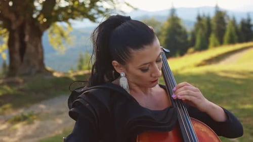 Young adult woman performing her cello play at the nature.