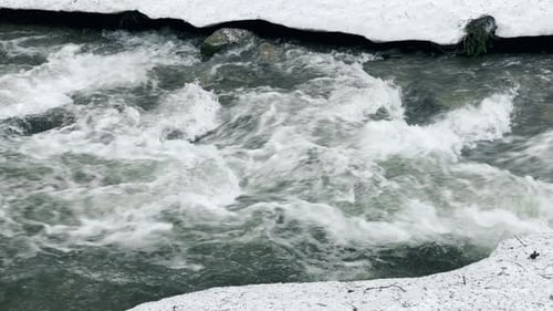 Foamy River and Snow in Winter. Closeup Swift Stream with Rapids On
