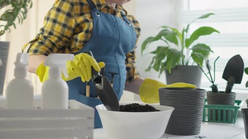 Magic of the Indoor Plant Transplant Process Showcasing Creativity Passion and Immersion in Nature