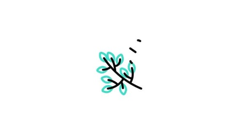 Branch Animated Icon