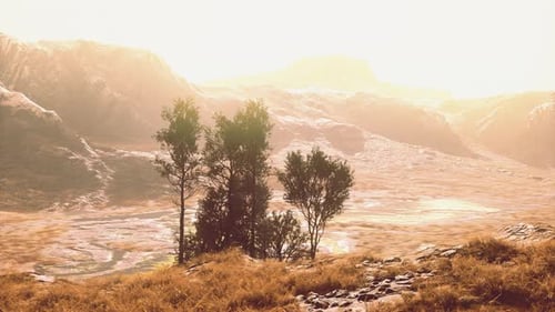 A Scenic Landscape with Trees and Mountains in the Background
