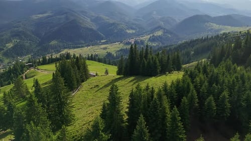 Aerial View of Pine Forest and Mountain Village Scenic Aerial Perspective Showing Dense Pine Trees