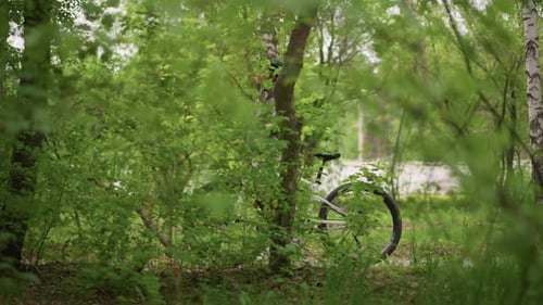 Woman Walking Bike in Forest on Summer Day