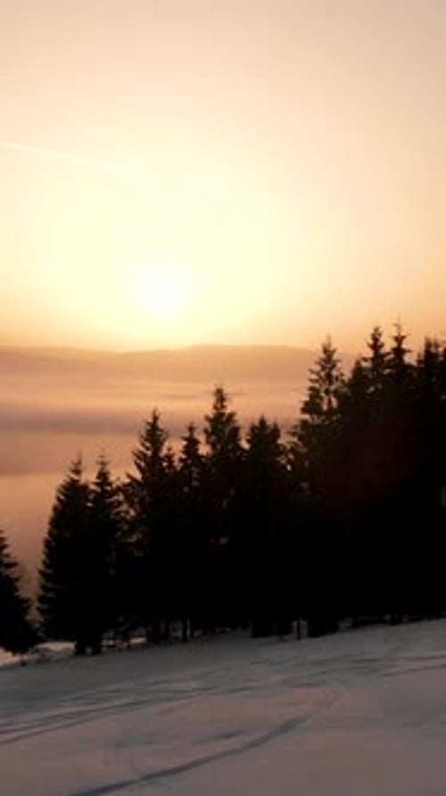 Winter Sunrise Over Snowy Forest Landscape
