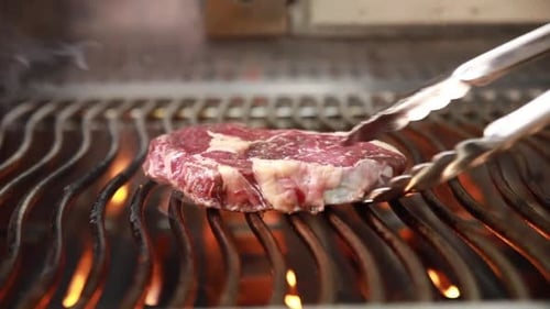 chef cook delicious meat in restaurant