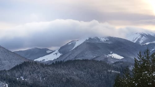 Snow Capped Mountains and Forest Landscape in Winter