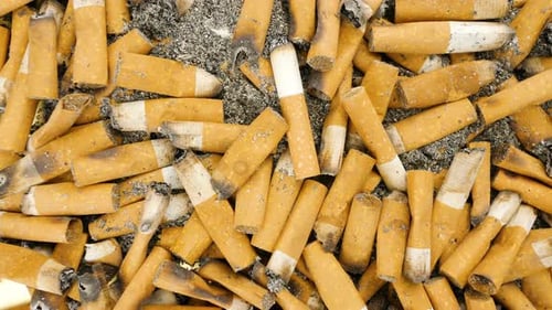 Colillas de cigarrillos quemadas