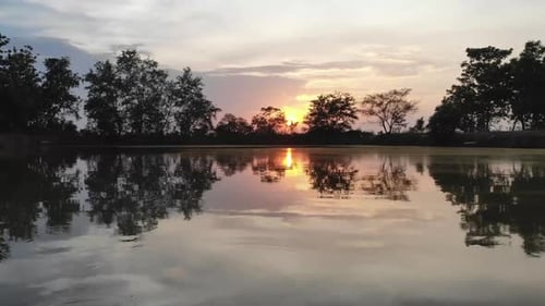 Forest Landscape Sunrise Over Water Cinematic Drone Footage Aerial Shot of a Pine Forest and River d