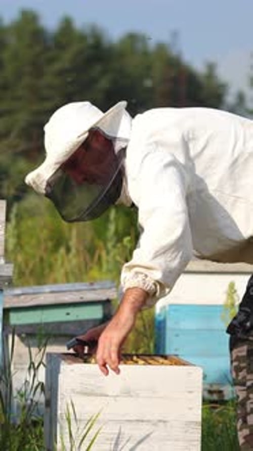 Beekeeper Inspecting Honeycomb Frame in Rural Setting