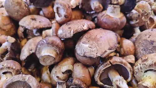 Stack Of Mushrooms On The Market Stand 2
