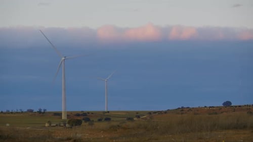 Wind Turbines in Sunset Field