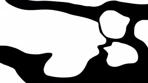 Fluid Abstract Reveal Transition