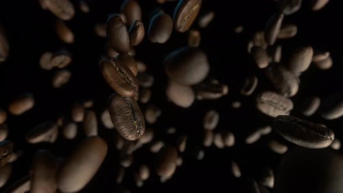 Coffee Beans Against a Black Background