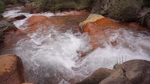 clear river water flowing in the mountains and green trees with a stretch of orange rocks