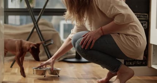 Woman Feeds Her Dog at Home