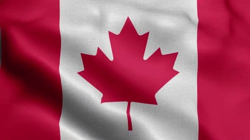 Waving Canada Flag Seamless Loop