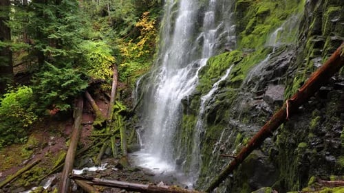 Proxy Falls in Oregon, USA