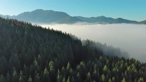 Nebelige Berglandschaft aus der Luft