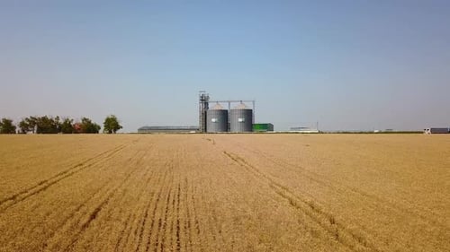 Aerial of Grain Elevator in Front of Wheat Field Quadcopter Drone Camera Flying Towards Flour or Oil