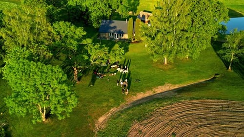 Foto giratória de drone aéreo de uma família extensa almoçando em uma mesa de jardim em um dia ensolarado.