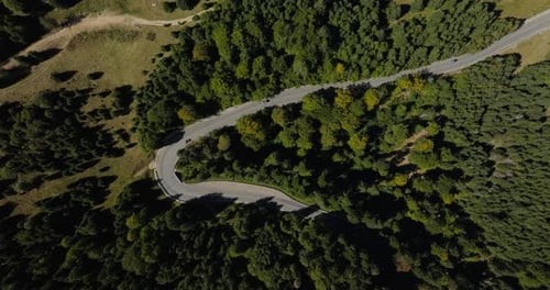 Aerial top-down footage capturing a winding mountain road cutting through a dense green forest.