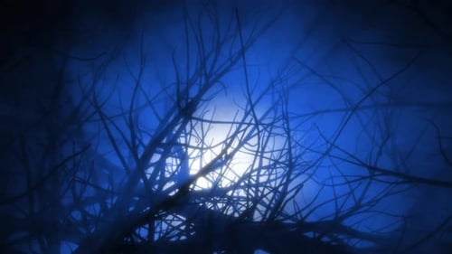 Creepy Woods