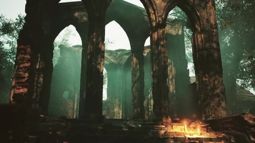 Medieval Castle Ruins in Forest Stock Footage