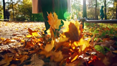 Closeup Walking Legs of Woman in Sneakers Over Autumn Fallen Leaves in Park