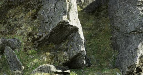 Natural Rock Formation Resting Quietly in a Vibrant Green Valley Environment