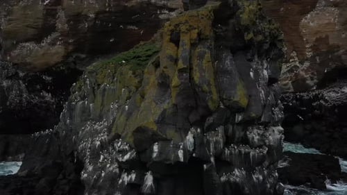 Rugged Cliffs and Bird Colonies of Iceland