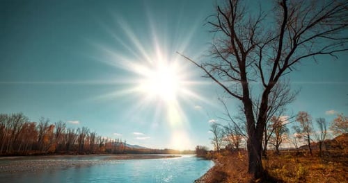 Timelapse de Mountain River en été ou en automne, nature sauvage, eau bleue claire et arbres secs