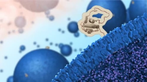 Molecular Protein Binding Cell Membrane Animation
