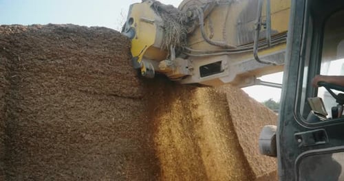 Zeitlupen-Nahaufnahme eines Traktors, der auf einem Ackerland in der Sonne einen Mais für biologisches Viehfutter mulcht