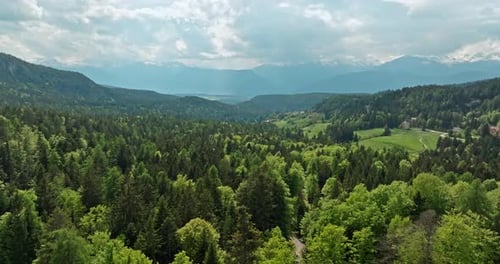 Aerial View of the Forests of the Dolomite Alps Italy