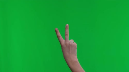 The Female Hand Shows the Sign of Peace or Victory Studio Photography on an Isolated Green