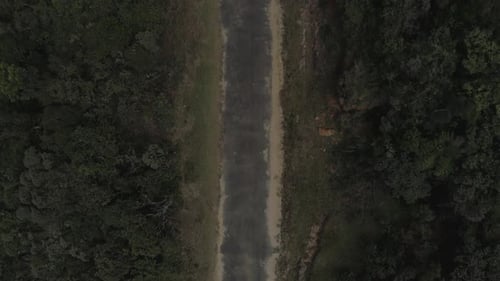 Revealing drone shot of a Road in a jungle.