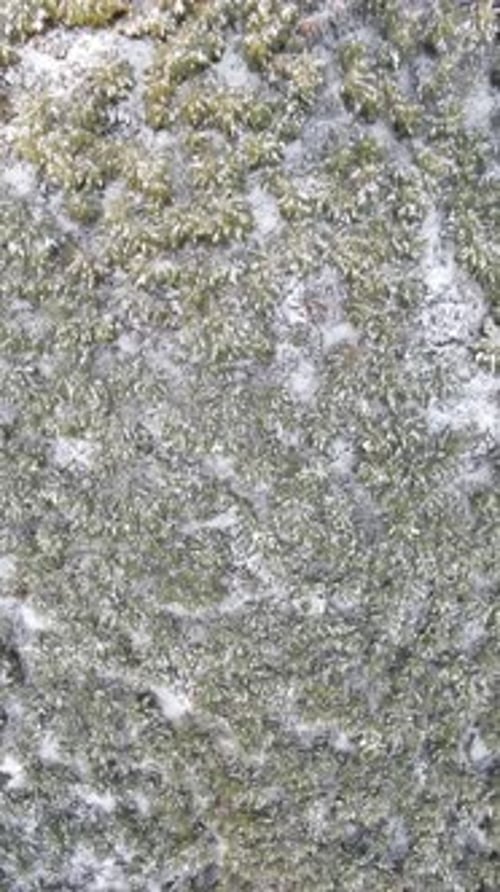 Winter Mountains Overhead View