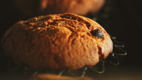 Baking Muffins. Sweet Cupcake in Oven Ready for Eat. Close Up Of